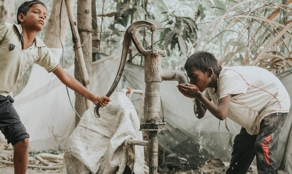 rural, india, nature